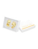Arete Chapa  Figura Geometrica
