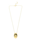 Collar Chapa Oval Inflado