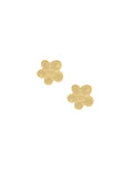Arete Flor NUVI