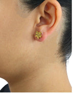 Arete Flor NUVI