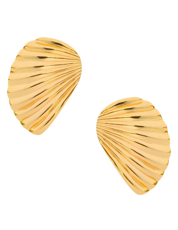 Aretes Chapa Concha