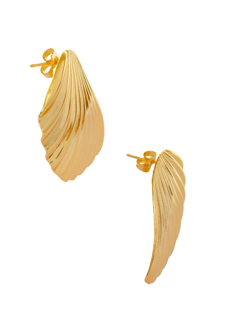 Aretes Chapa Concha