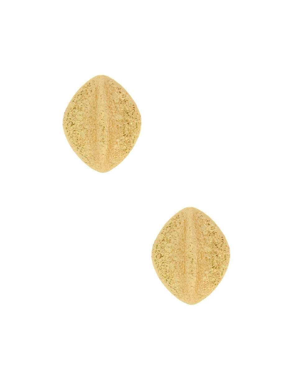 Aretes Chapa Oval