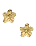 Aretes Flor