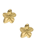 Aretes Flor