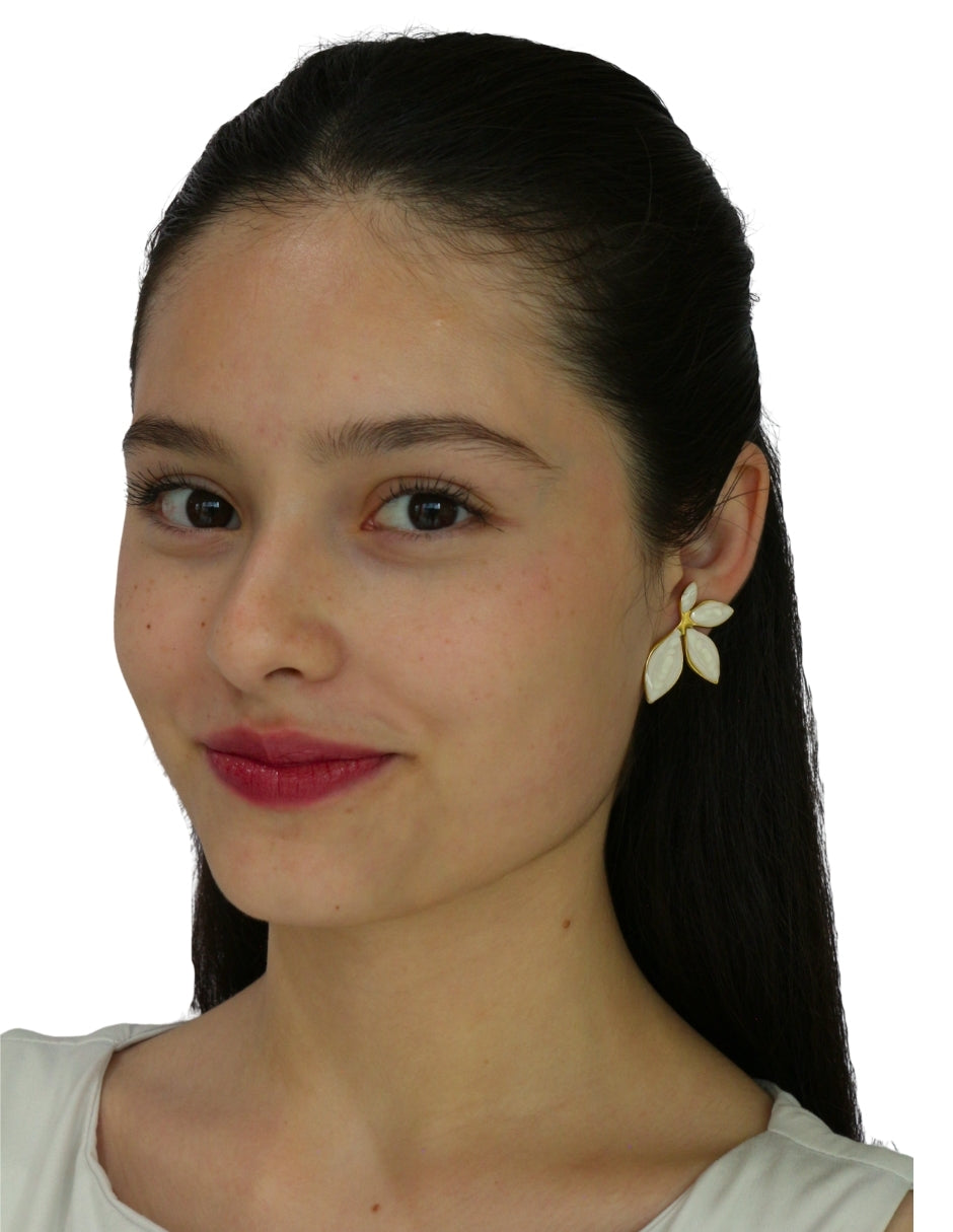 Aretes Petalos Esmalte