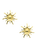 Aretes Sol