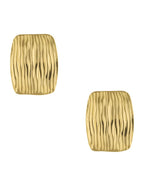 Aretes Rectangulo Con Lineas