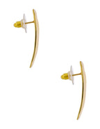 Aretes Rectangulo Con Lineas