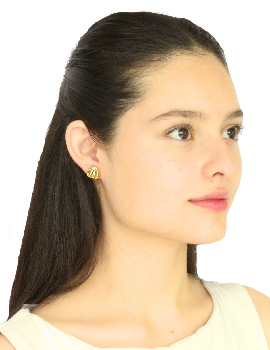 Aretes Calabacita
