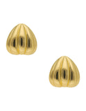 Aretes Calabacita