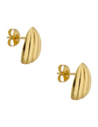 Aretes Calabacita