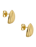 Aretes Calabacita