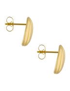 Aretes Calabacita
