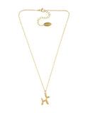Collar NUVI Firulais