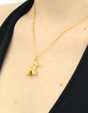 Collar NUVI Firulais
